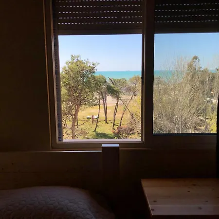Delight Apartment